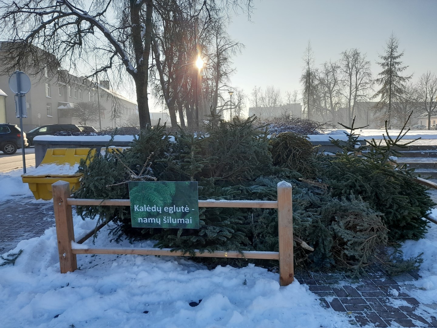 Šią savaitę pasibaigs ekologinė akcija ,,Kalėdų eglutė – namų šilumai“